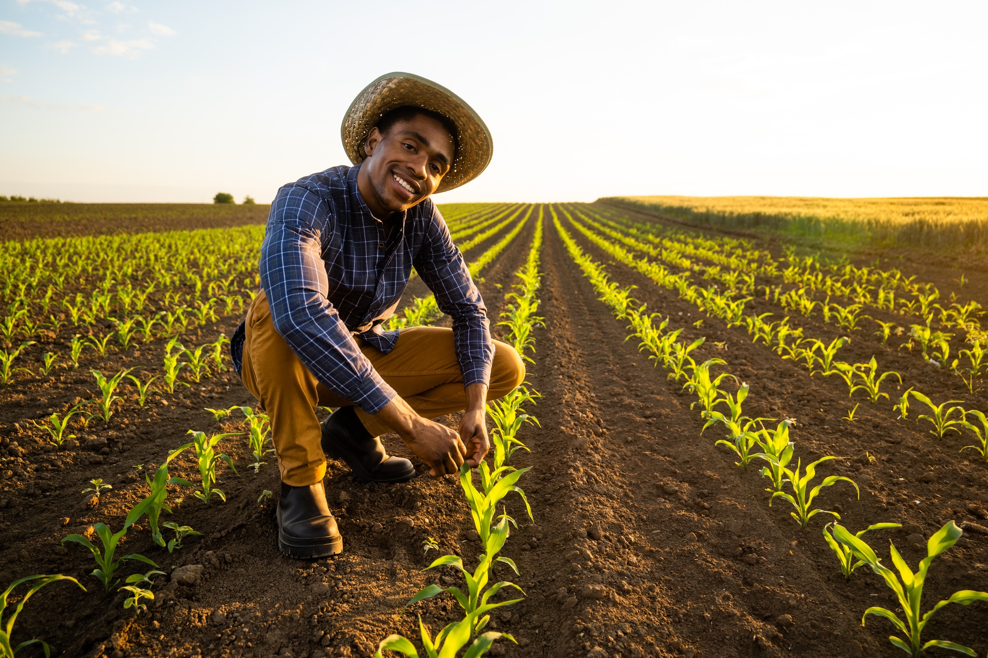 Agriculture